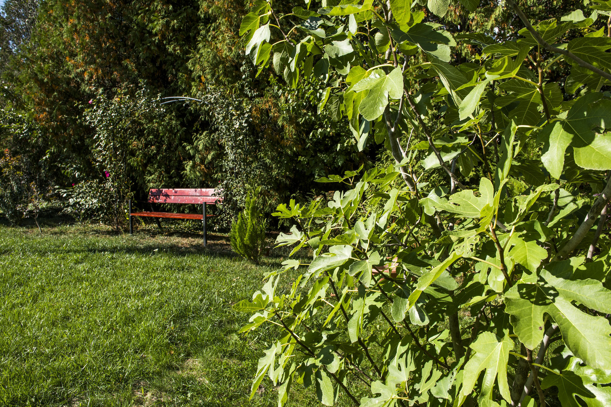 Feng Shui Wellness Apartmanház Hévíz Esterno foto